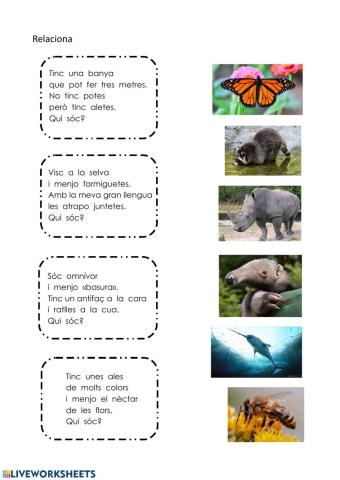 Endevinalles animals