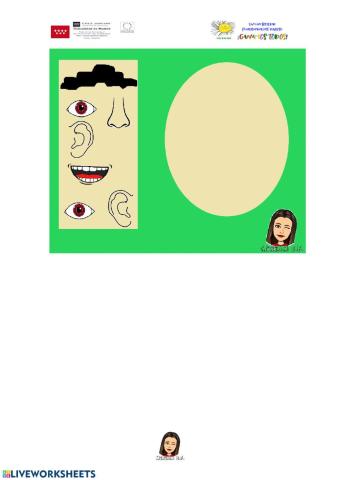 Partes de la cara