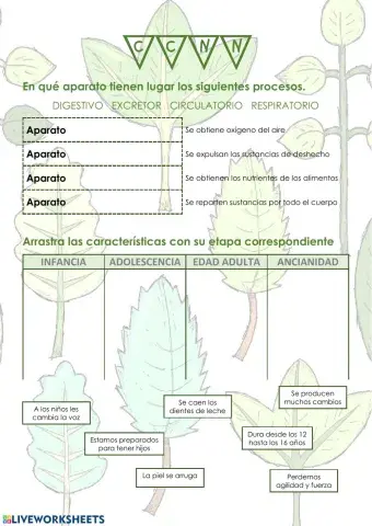 Función de nutrición