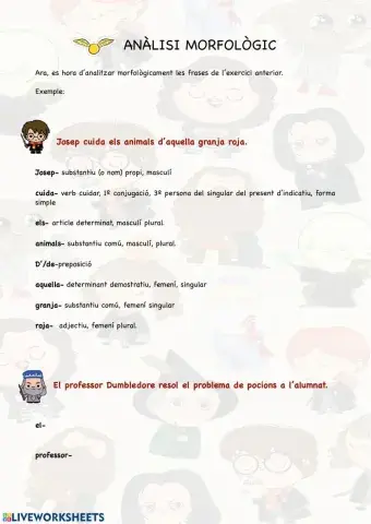 Anàlisi morfològic