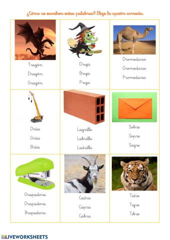 Discriminación visual de trabadas