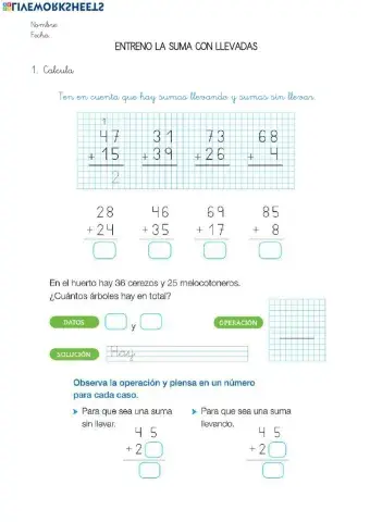 Entreno la suma con llevadas