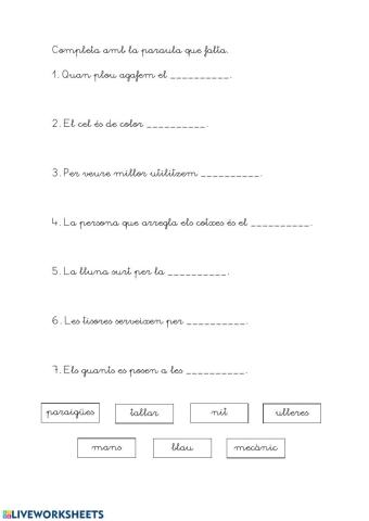 Completar les frases