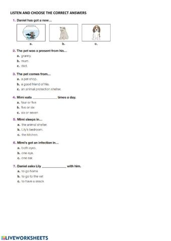 My new pet. Listening