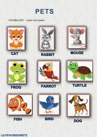 VOCABULARY.  PETS