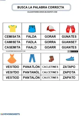 Busca la palabra correcta Ropa
