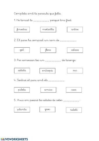 Completar les frases 3