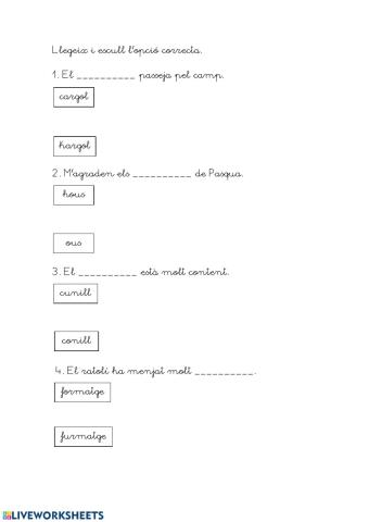 Completar les frases 4