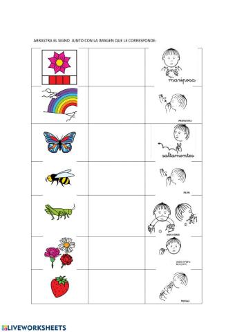 Vocabulario primavera 1