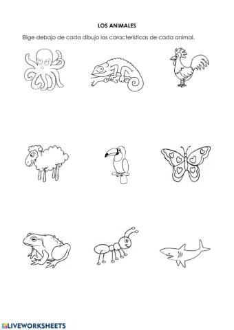 Clasificación de animales Jarama