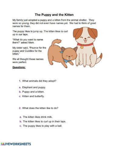 Reading Comprehension - Puppy an a kitten