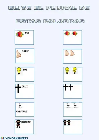 Cambia el número de estos sustantivos