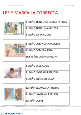 Comprension lectora