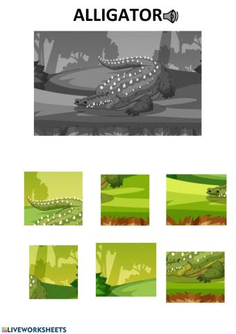 Alligator puzzle