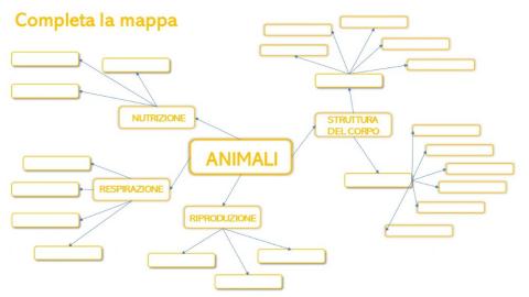 Animali - classificazione