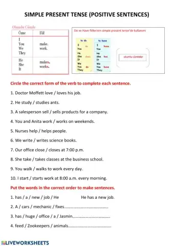 Simple present tense positive sentences