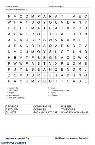 Bsenior Wordsearch45