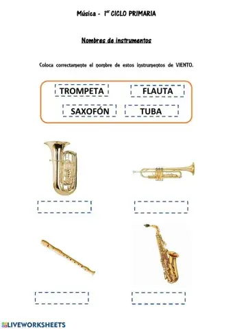 Instrumentos viento