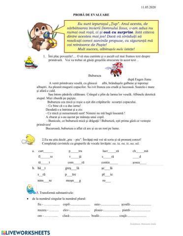 Evaluare-Grupurile de sunete