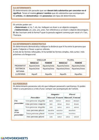 Articles, determinants i possesius