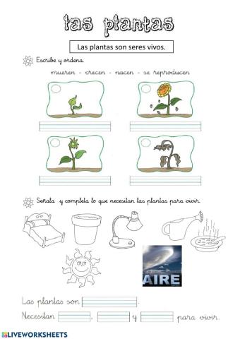 Las plantas son seres vivos