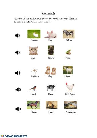 Animals Worksheet