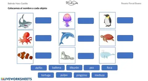 Vocabulario animales 3 lectura