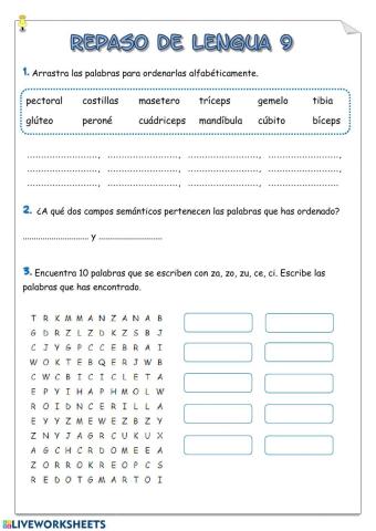 Repaso de lengua