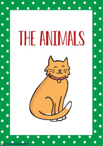 Divisor 6. The animals