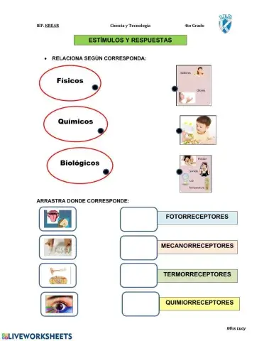 Estímulos y respuestas