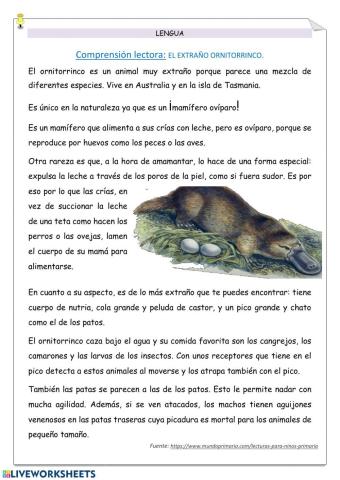 Comprensión: El extraño ornitorrinco