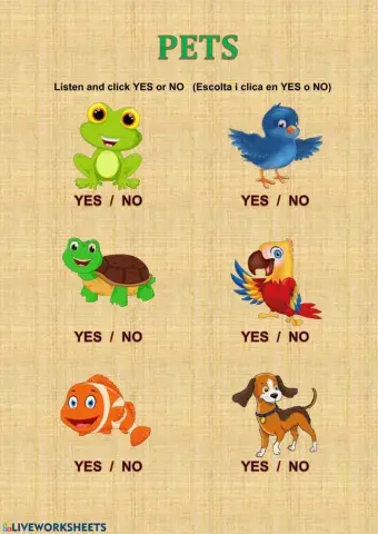 PETS LISTEN AND CLICK YES  OR  NO