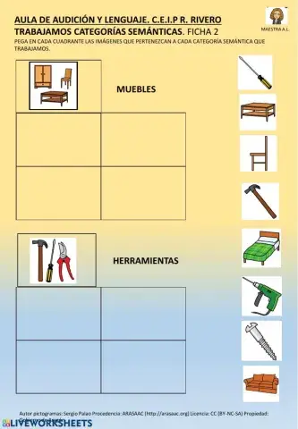 Clasificamos  en categorías semánticas