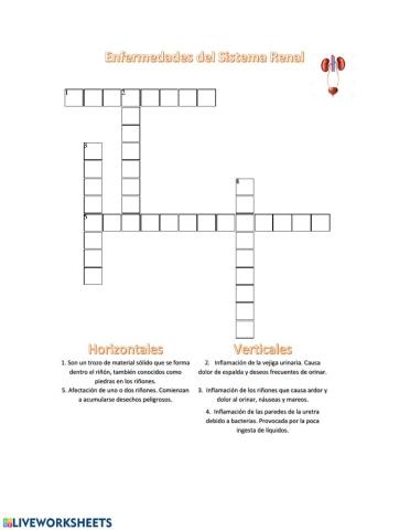 Enfermedades del sistema renal