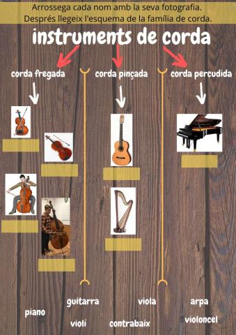 Instruments de corda