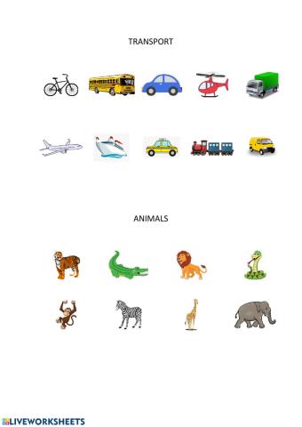 Zoo animals, Transport