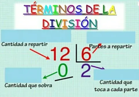 Términos de la división
