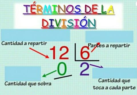 Términos de la división