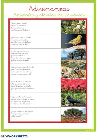 Adivinanzas de animales y plantas de Canarias
