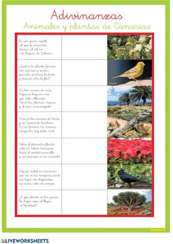 Adivinanzas de animales y plantas de Canarias