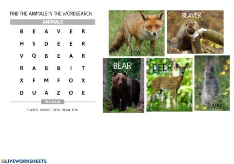 Animals wordsearch