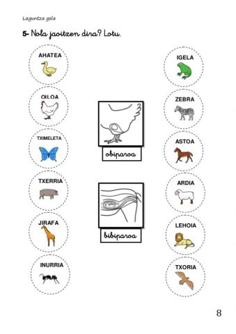 Animalia obiparo eta bibiparoak