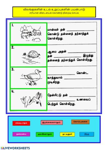விலங்குகள்
