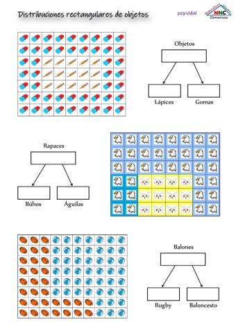 Descomposiciones numéricas 6