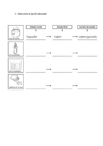 Elige la opción adecuada