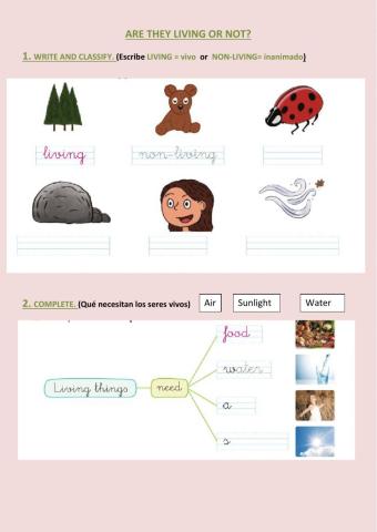 Living- non-things things