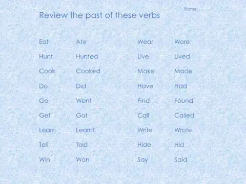 Past verbs Review 2