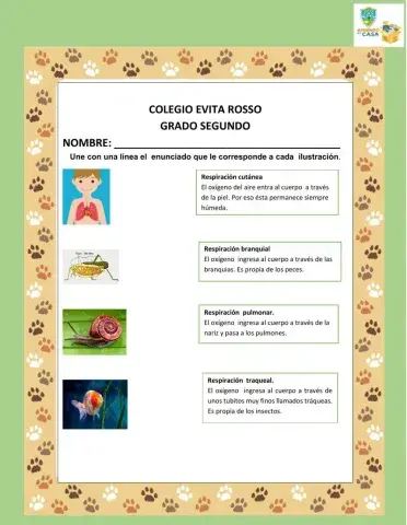 Clases de respiración.