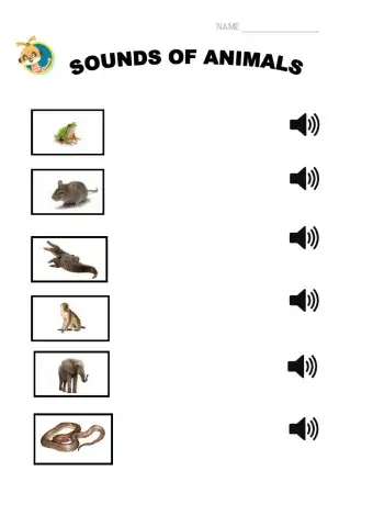 The sounds of animals