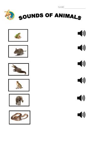 The sounds of animals